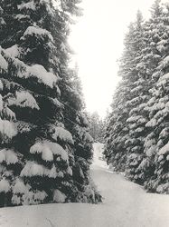 Byfjellene