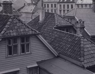 Sydnessmauet.
