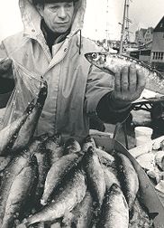 Fisketorget