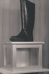 Reklamefoto av gummistøvel.