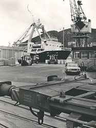 Dokkeskjærskaien.