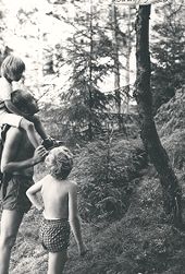 Byfjellene.