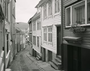 Knøsesamuet.