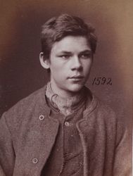 Portrett fra forbryteralbum