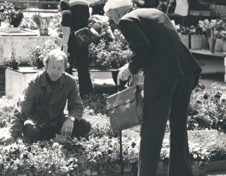 Blomstertorget i Bergen.