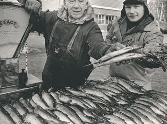 Fisketorget.