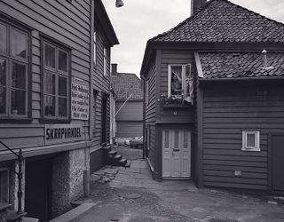 Sydnessmauet.
