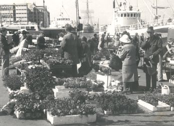 Blomstertorget i Bergen.