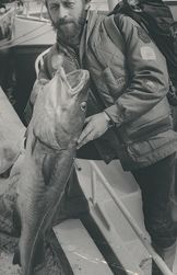 Fisketorget 